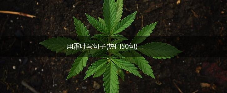 用霜叶写句子(热门50句),第1张