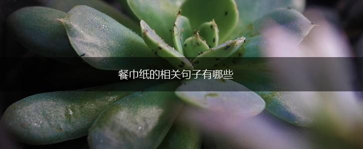 餐巾纸的相关句子有哪些,第1张