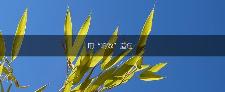 用“响效”造句,第1张