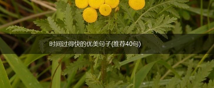 时间过得快的优美句子(推荐40句),第1张
