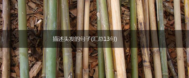 描述头发的句子(汇总13句),第1张