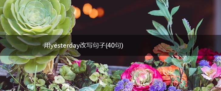 用yesterday改写句子(40句),第1张