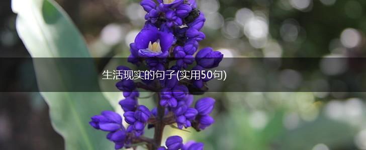 生活现实的句子(实用50句),第1张