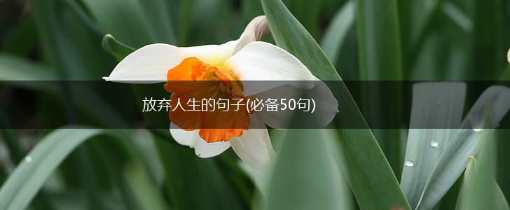 放弃人生的句子(必备50句),第1张