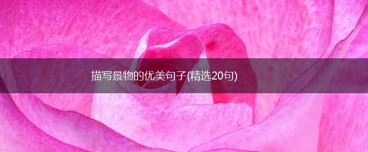 描写景物的优美句子(精选20句),第1张