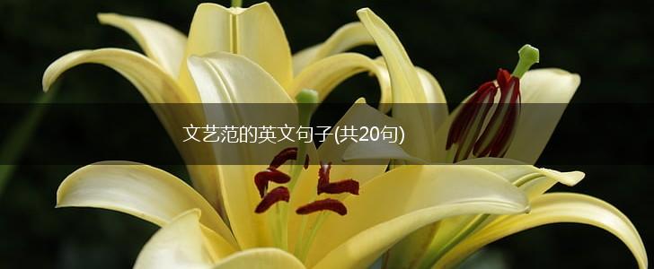 文艺范的英文句子(共20句),第1张