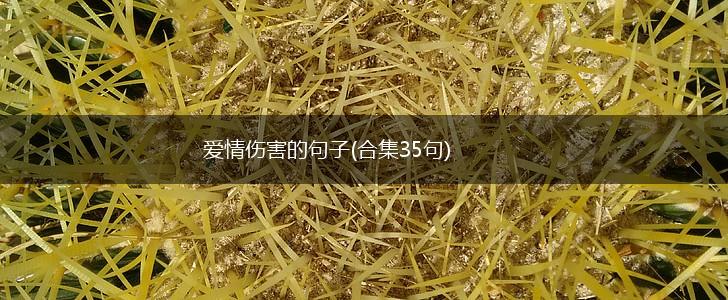 爱情伤害的句子(合集35句),第1张