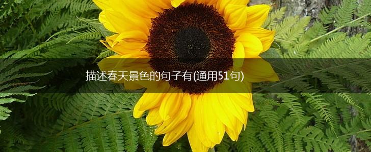 描述春天景色的句子有(通用51句),第1张
