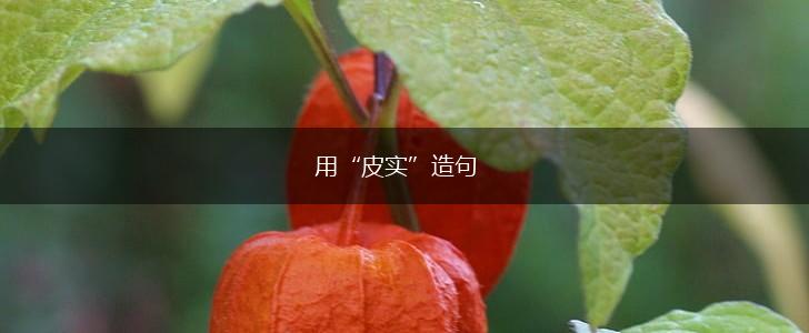用“皮实”造句,第1张