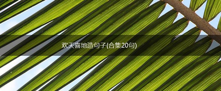 欢天喜地造句子(合集20句),第1张