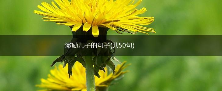 激励儿子的句子(共50句),第1张