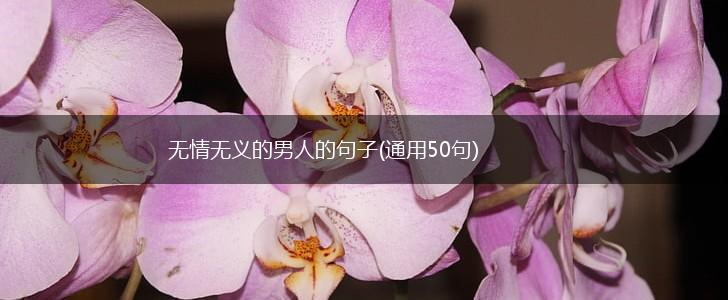 无情无义的男人的句子(通用50句),第1张