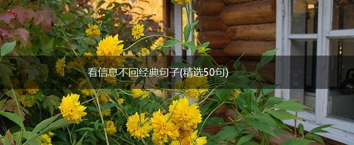 看信息不回经典句子(精选50句),第1张