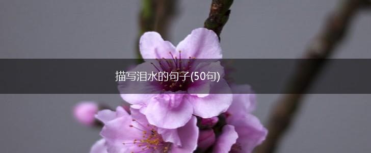 描写泪水的句子(50句),第1张