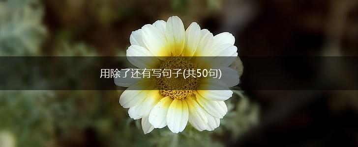 用除了还有写句子(共50句),第1张