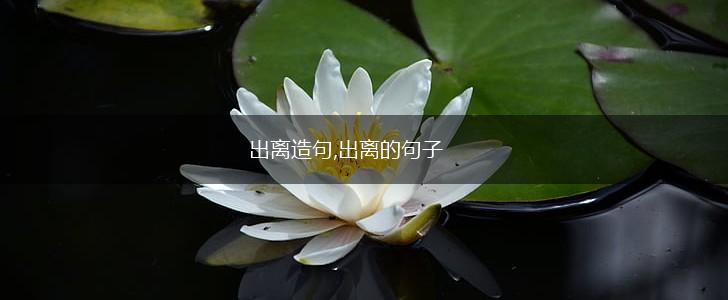 出离造句,出离的句子,第1张