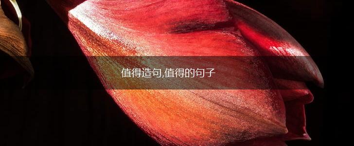 值得造句,值得的句子,第1张