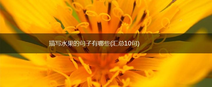 描写水果的句子有哪些(汇总10句),第1张