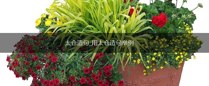 太仓造句_用太仓造句举例,第1张