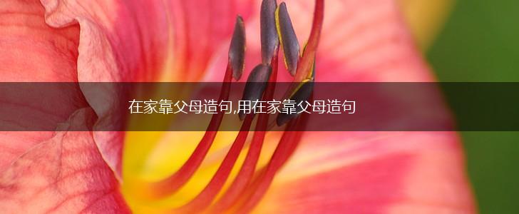 在家靠父母造句,用在家靠父母造句,第1张