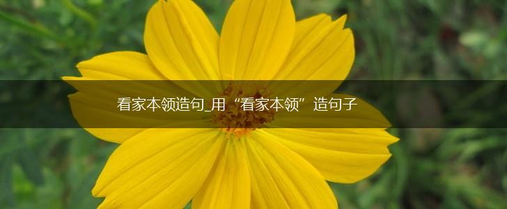 看家本领造句_用“看家本领”造句子,第1张