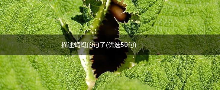 描述蜻蜓的句子(优选50句),第1张