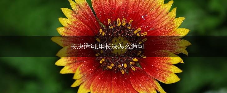 长决造句,用长决怎么造句,第1张