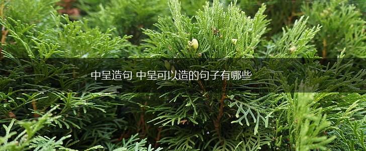 中呈造句 中呈可以造的句子有哪些,第1张