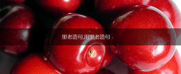 里老造句,用里老造句,第1张