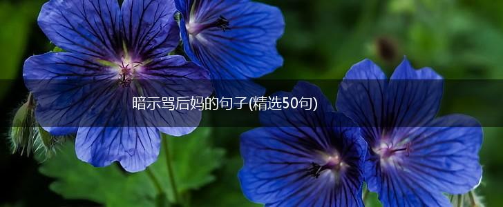 暗示骂后妈的句子(精选50句),第1张