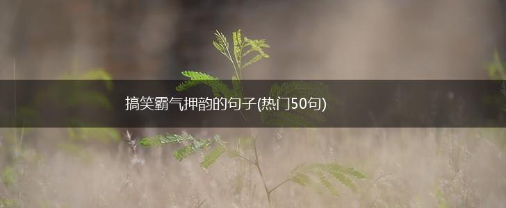 搞笑霸气押韵的句子(热门50句),第1张