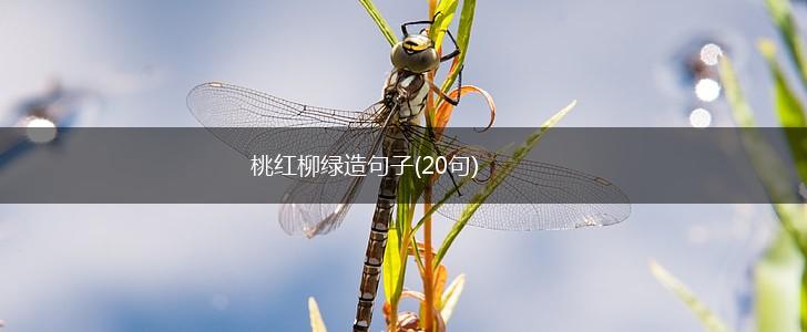 桃红柳绿造句子(20句),第1张
