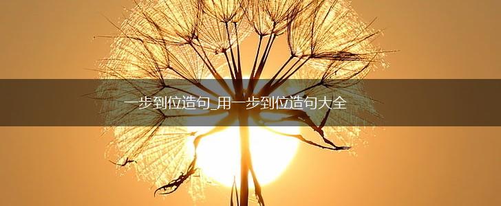一步到位造句_用一步到位造句大全,第1张