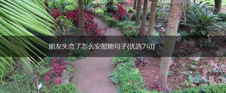 朋友失恋了怎么安慰她句子(优选7句),第1张