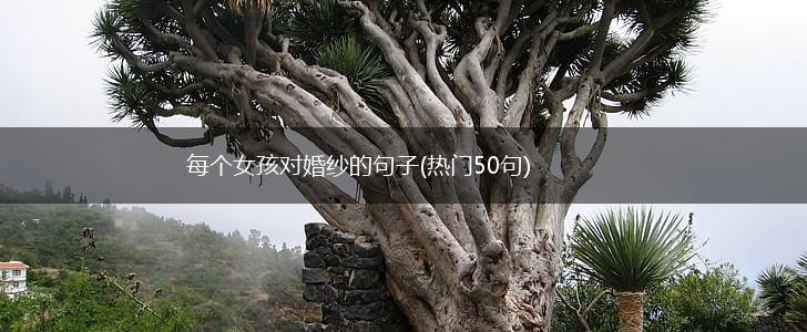 每个女孩对婚纱的句子(热门50句),第1张