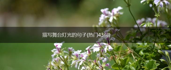 描写舞台灯光的句子(热门43句),第1张