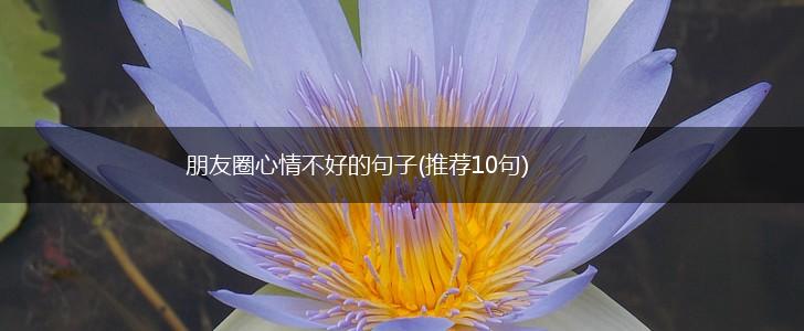 朋友圈心情不好的句子(推荐10句),第1张