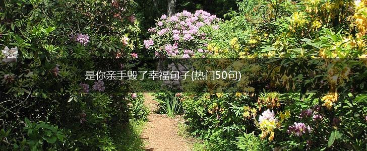是你亲手毁了幸福句子(热门50句),第1张