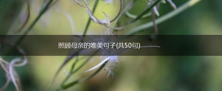 照顾母亲的唯美句子(共50句),第1张