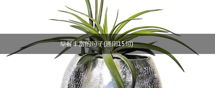 早餐丰富的句子(通用15句),第1张