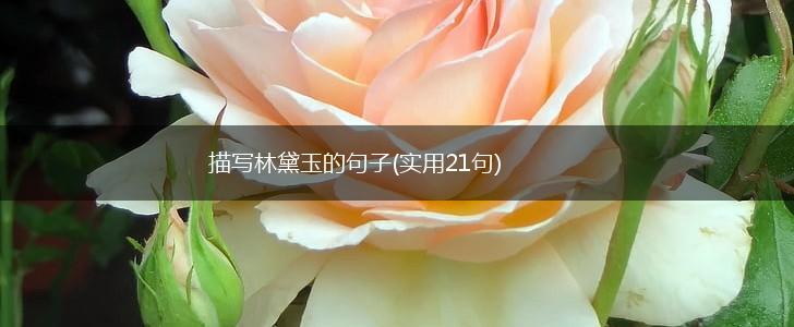 描写林黛玉的句子(实用21句),第1张