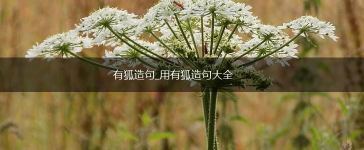 有狐造句_用有狐造句大全,第1张
