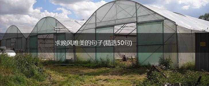 求晚风唯美的句子(精选50句),第1张