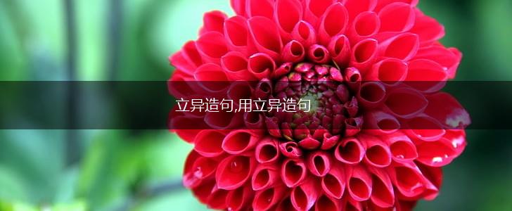 立异造句,用立异造句,第1张