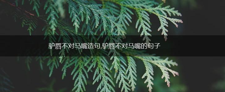 驴唇不对马嘴造句,驴唇不对马嘴的句子,第1张
