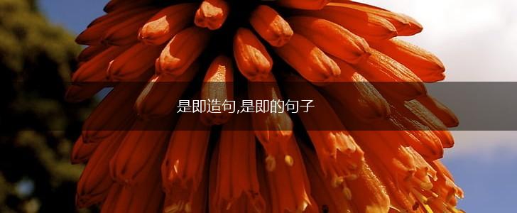 是即造句,是即的句子,第1张