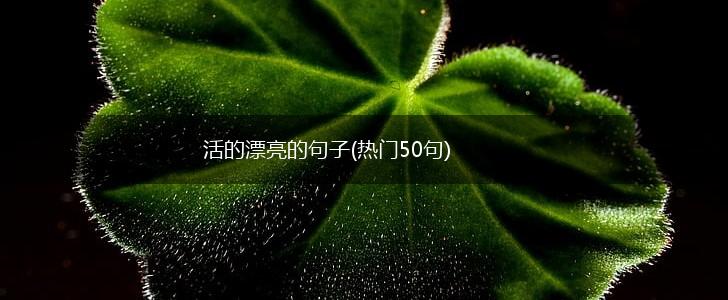 活的漂亮的句子(热门50句),第1张