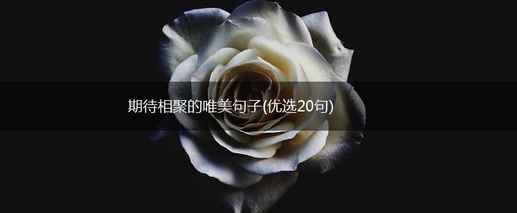 期待相聚的唯美句子(优选20句),第1张