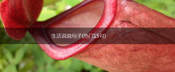 生活说说句子(热门15句),第1张