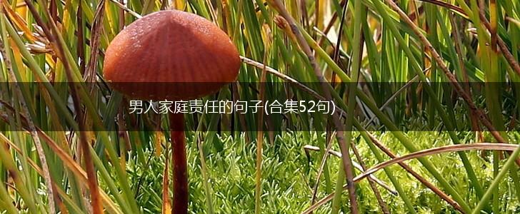 男人家庭责任的句子(合集52句),第1张